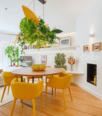 Zona de sala de jantar com pavimento vinílico, mesa redonda de madeira, cadeiras cor de mostarda e plantas naturais